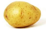 Aardappel 