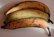 Banaan geel
