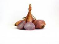 Sjallote