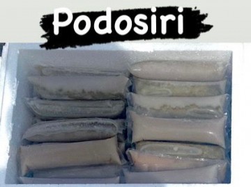 10971b71 d6f0 4862 a5db adc7f82b67e7