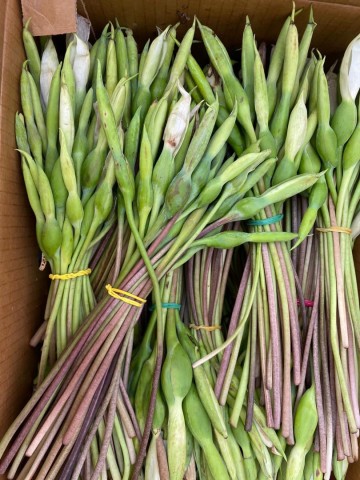 1706938472231343927856146725742968231073468n