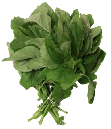 20210226221210img1579 removebg preview 1 e1617574525636