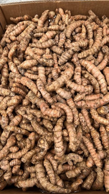 22f7dd9c bc01 4a23 8c12 ab7da42acfdc