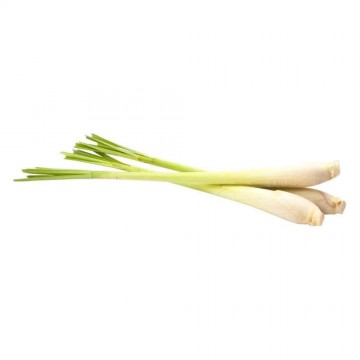 2aa33a57 6f67 4364 8ea9 585f9a26a2d6