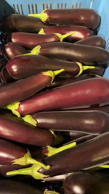 2b5fb07a 5103 4bb9 8683 f3288f06bde1