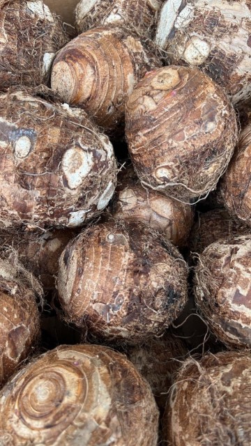 30175523 c1b0 460b 8c10 cad668ca2bc4