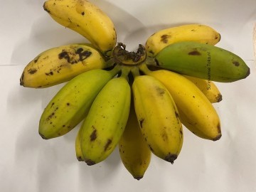 360x1000x0bakoven 500 500 gram