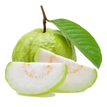 3d2b1f94 e7b4 4412 8289 93bf98a8a2a8