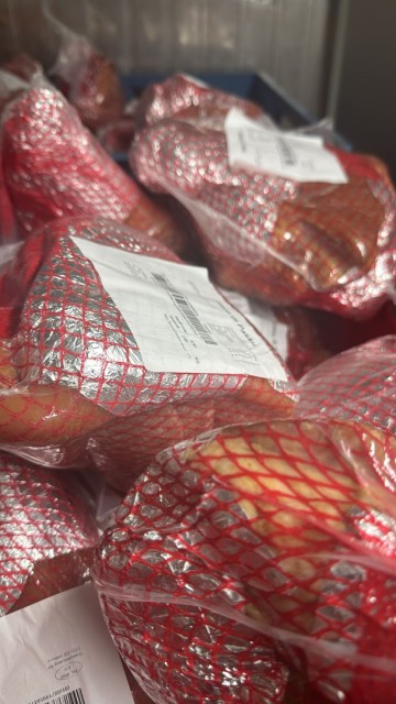 499cc0f2 e2ea 4e26 99c0 cb8c68451bb0