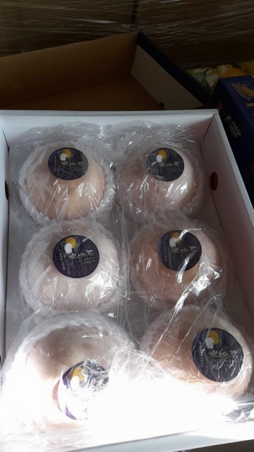 7f7a8745 dda8 4548 a6b4 e65d98642b14