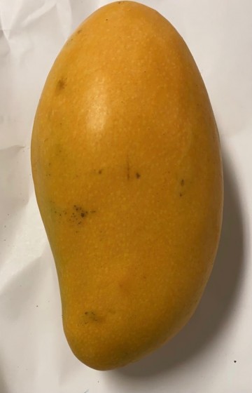 87e53df6 8237 4746 8f5b 31a870b42f46