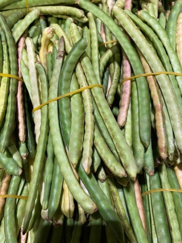 87e6112a 109a 4563 b4d0 baae9cc29420