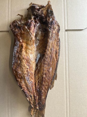 B357db55 ea5d 484a 9733 19fa85be90da