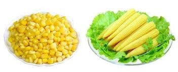 Aroy-D Baby Corn in Brine