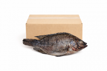 Chatgpt image 15 feb 2026 204341