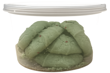 Chatgpt image 2 feb 2026 003136