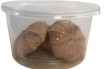 Chatgpt image 22 feb 2026 223523