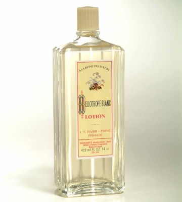 Heliotrope Lotion Groot