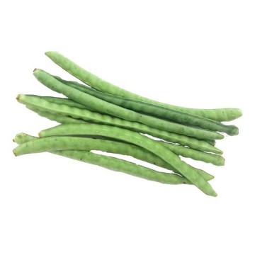 Jarpesi 1000x1000900x