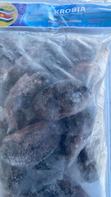 Photo 2022 01 29 10 37 19 2