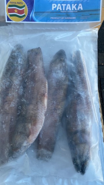 Photo 2022 01 29 10 37 19