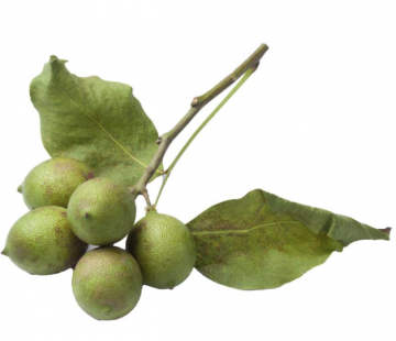 Schermafbeelding 2020 12 13 om 162841