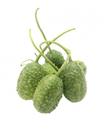 Schermafbeelding 2020 12 13 om 163003