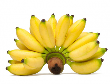 Schermafbeelding 2021 03 14 om 145058