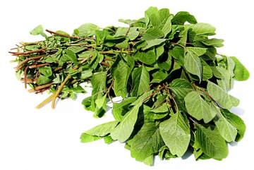 Schermafbeelding 2024 07 06 om 144751