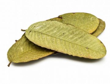 Schermafbeelding 2025 03 16 om 182404