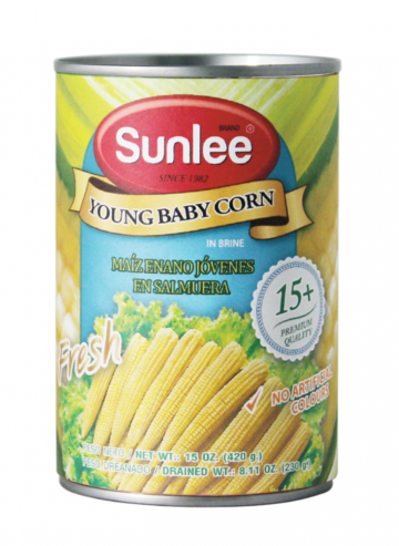 Schermafbeelding 2025 06 17 om 121848