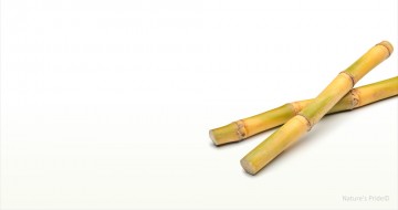 Aroy-D Sugar Cane in Syrup (Klein)