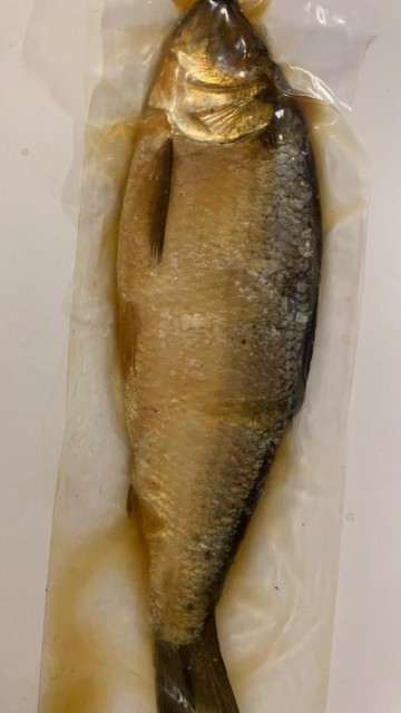 Whatsapp image 2020 05 23 at 132158