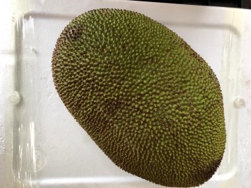 Whatsapp image 2020 07 03 at 094515 1