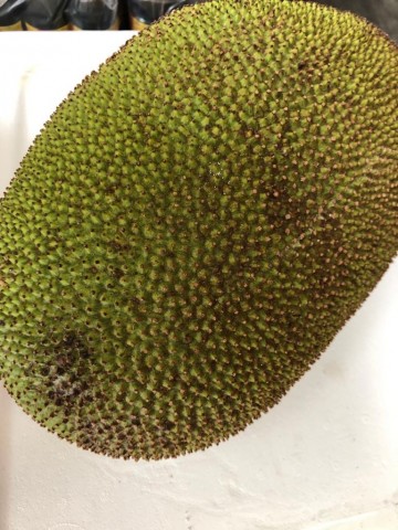 Whatsapp image 2020 07 03 at 094515