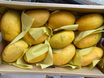 Whatsapp image 2020 07 05 at 171951 1