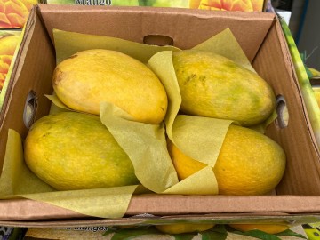 Whatsapp image 2020 07 05 at 171951