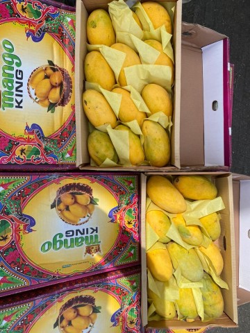 Whatsapp image 2020 07 05 at 171952