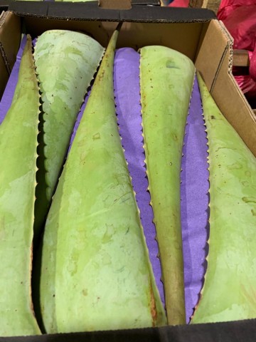 Whatsapp image 2020 10 11 at 184028 1