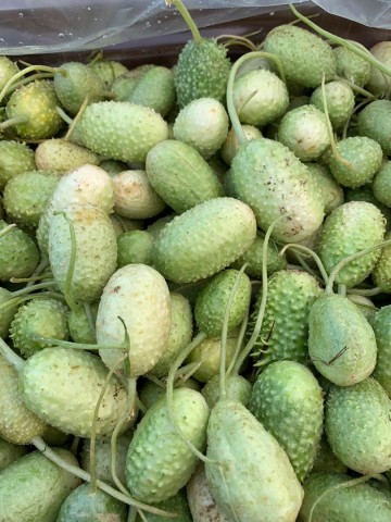 Whatsapp image 2020 10 11 at 184028