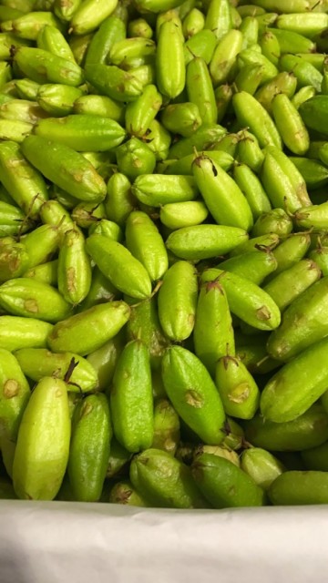 Whatsapp image 2021 03 14 at 125256