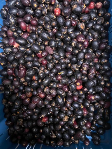 Whatsapp image 2022 03 20 at 52026 pm