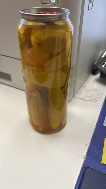 Whatsapp image 2023 08 04 at 112506